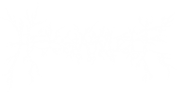 Helgamite NEW logo white.png